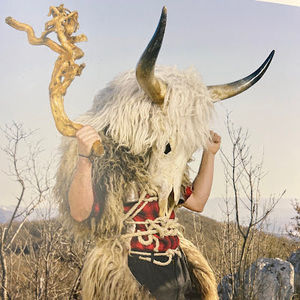 Meet your Posher, Lucas